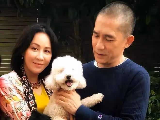 夫妻本是同林鳥,但抱歉,這次梁朝偉也救不了得意忘形的劉嘉玲