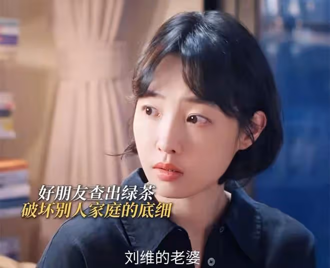 《好團圓》 反轉:李書是別人的小三,高平出軌林曉,被向前手撕