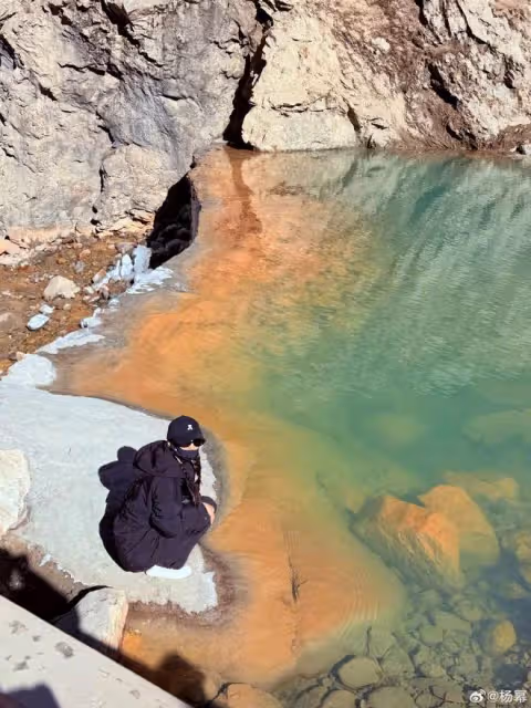 楊冪曬旅行美照,激動與國旗合影,扎雙辮背粉包少女感超足