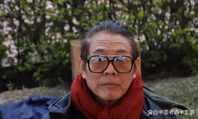李思:生父李連杰把我和媽媽拋棄,如果可以的話我不想當他的女兒