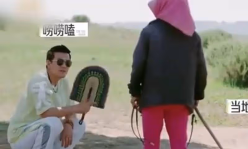 楊子不尊重人?黃聖依又要離婚?這對夫婦當年咋在一起?