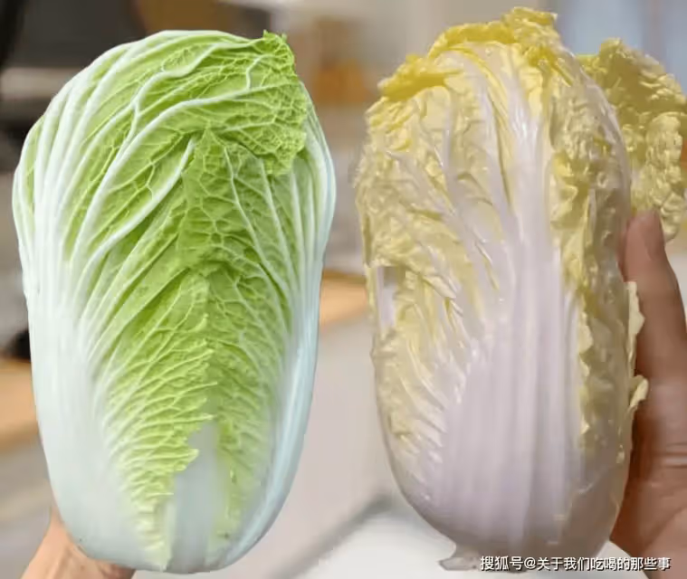 買白菜，選「綠色的」還是「黃色的」？差別很大，別再買錯了