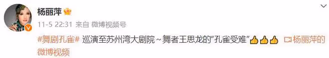 金星事業被全面叫停,楊麗萍的孔雀舞已經展開全國巡演!