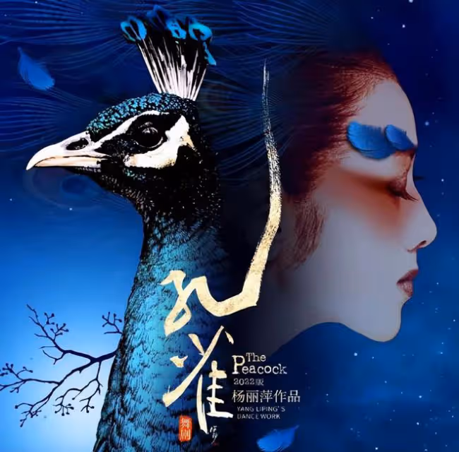 金星事業被全面叫停，楊麗萍的孔雀舞已經展開全國巡演！