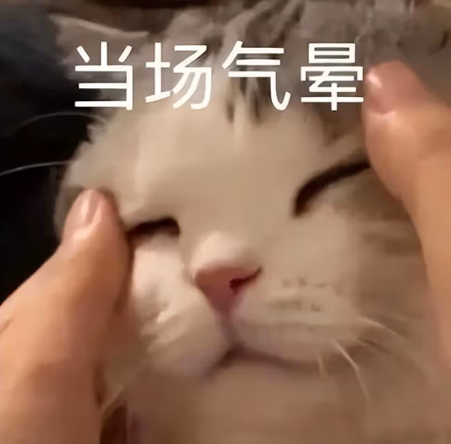 太荒謬了!媽媽要求愛豆女兒MAIKA退圈照顧弟弟,網友們憤怒不已