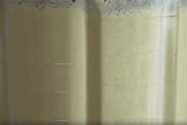 零失敗做果味綠豆發糕，這個配方不塌陷不發黏，暄軟蓬鬆比買的香