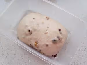 全麥堅果蔓越莓歐包~隔夜發酵
