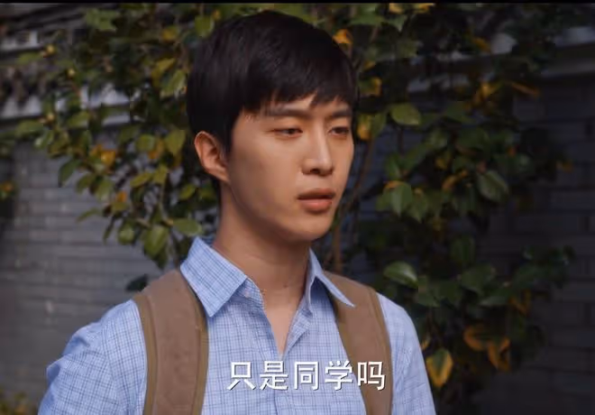 小巷人家:直到李佳嫁給莊圖南,黃玲才驚覺,莊家二老的噩夢來了