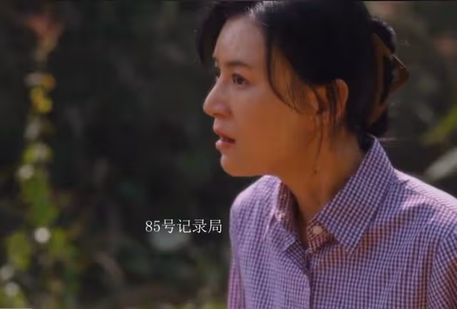直到樺林黑化成莊奶2.0版本,才知鵬飛為何把黃玲視為親媽
