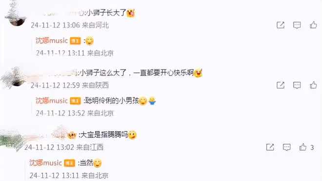 沈騰兒子6歲生日照曝光,小獅子長得白白胖胖,像爸又像媽超可愛