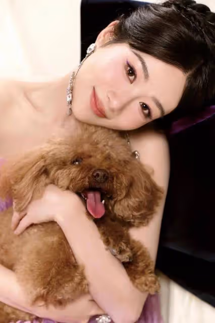 32歲楊紫發性感嫵媚寫真!撞臉虞書欣劉曉慶慘遭吐槽