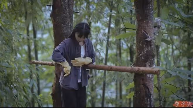 李子柒正式回歸,視頻迅速獲百萬點贊,歸來仍是獨一無二美學頂流