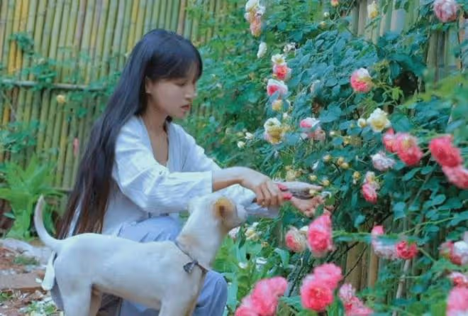 李子柒正式回歸,視頻迅速獲百萬點贊,歸來仍是獨一無二美學頂流