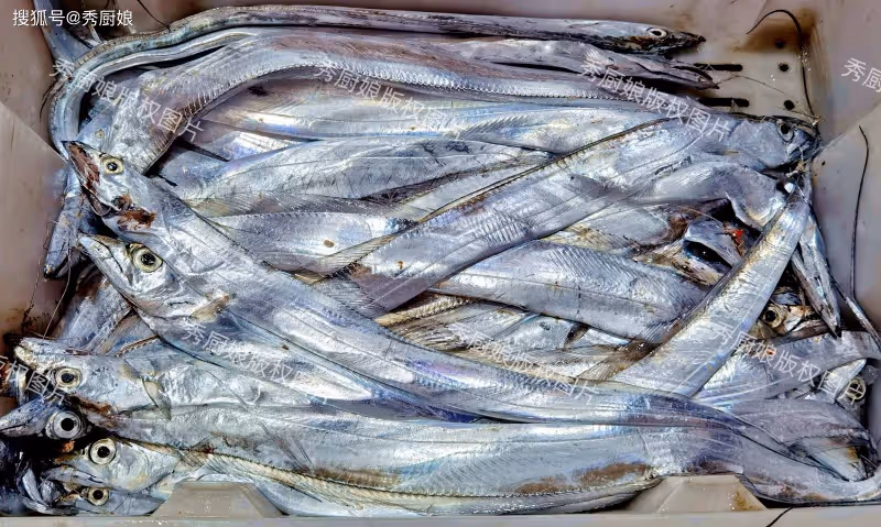 冬天買海魚,切記優選這6種魚,都是野生海魚,關鍵好吃還不貴!