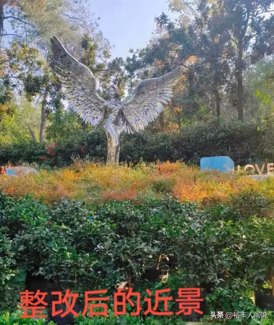 曝李玟墓地遭區別對待!雜草叢生鮮花被堆放一邊,知情人曝原因