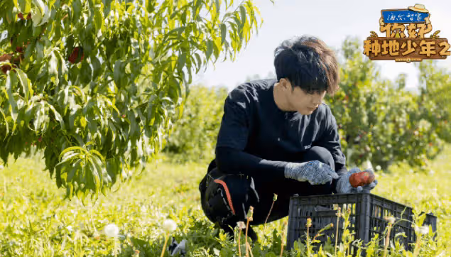 被汪峰認可，與王心凌合作，《你好種地少年2》里的他很有潛質！看看你認識嗎