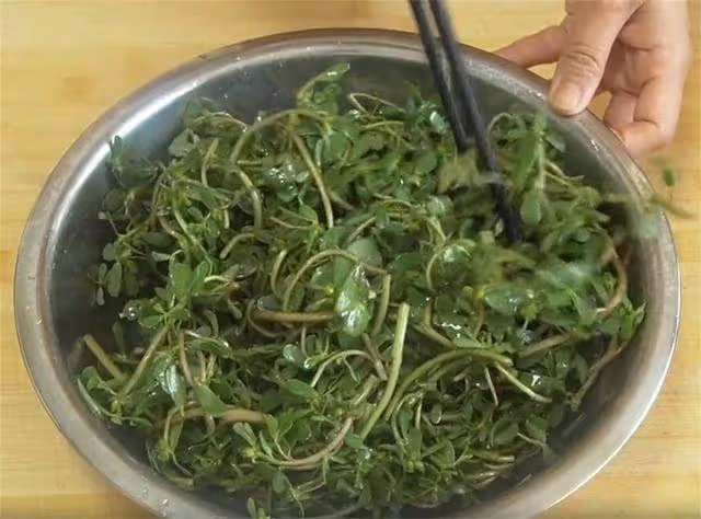 1塊錢2斤馬齒莧,不調餡不涼拌,簡單2步上桌,營養美味不發酸