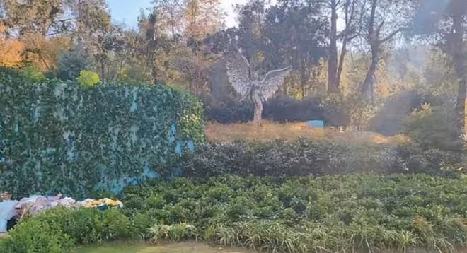 李玟墓地被破壞,雜草叢生破壞不堪,知情人曝她被區別對待