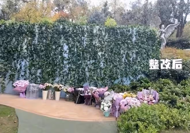 李玟墓地被破壞,雜草叢生破壞不堪,知情人曝她被區別對待