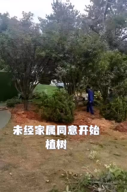 李玟墓地被破壞,雜草叢生破壞不堪,知情人曝她被區別對待