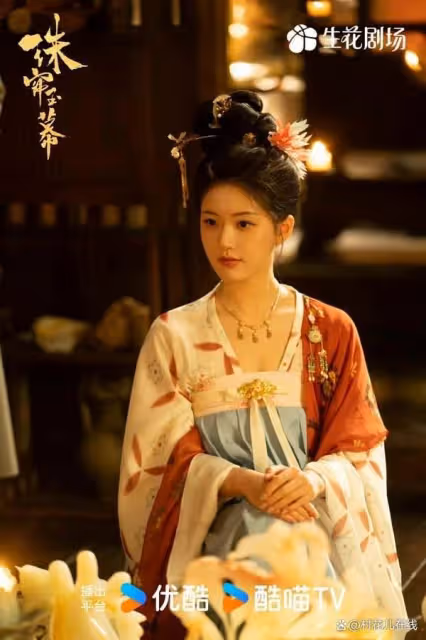 趙露思《珠簾玉幕》紅到海外!18個國家收視TOP1連韓國網友都在追