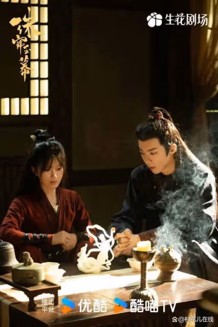 趙露思《珠簾玉幕》紅到海外!18個國家收視TOP1連韓國網友都在追
