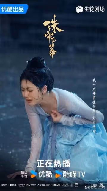 趙露思《珠簾玉幕》紅到海外!18個國家收視TOP1連韓國網友都在追