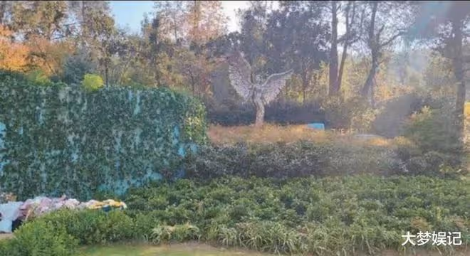 李玟墓園驚傳「雜草叢生」！彩虹階梯不見了…歌迷現場影片曝光