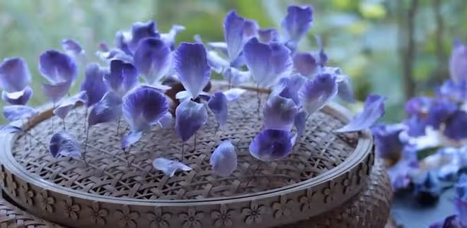 李子柒更新第三條視頻:為粉絲唱了一首歌,製作蠶絲絨花慶祝生日