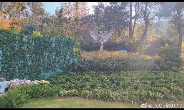 李玟墓園驚傳「雜草叢生」! 彩虹階梯不見了…歌迷現場目擊片曝