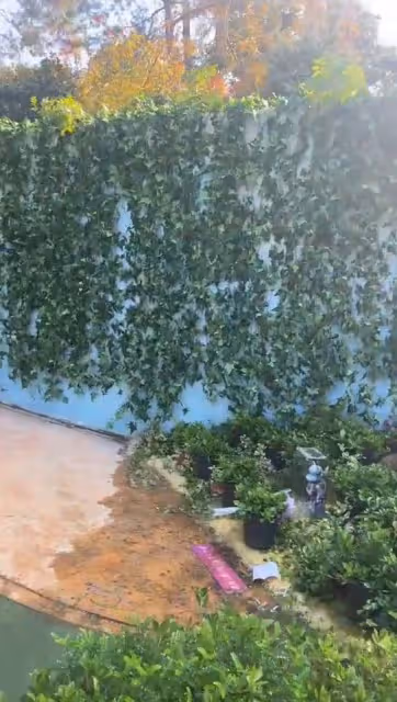 李玟墓園驚傳「雜草叢生」! 彩虹階梯不見了…歌迷現場目擊片曝