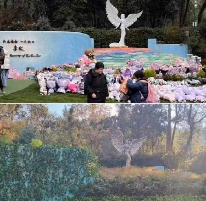 李玟墓園破壞原因曝光,楊培安揭露背後真相,心疼李玟不得安寧