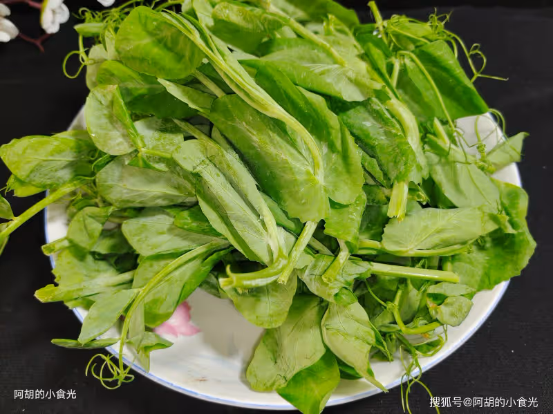 蓮藕、蘿蔔先靠邊,它才是冬季蔬菜之王!簡單煮一碗湯,時令鮮蔬、嫩到飛起