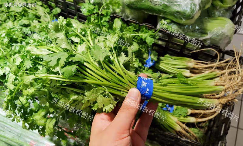 今天才發現,「香菜」保存這麼簡單!不發黃、不打蔫,放久都新鮮