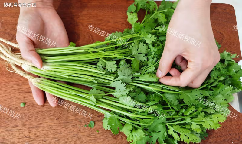 今天才發現,「香菜」保存這麼簡單!不發黃、不打蔫,放久都新鮮