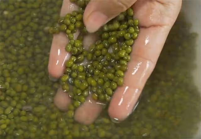 綠豆湯里只有綠豆?教你個新吃法,口感鮮、營養全,還不用提前泡