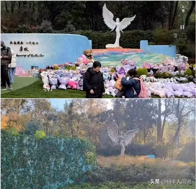 李玟墓地雜草叢生原因曝光!姐姐透露有人蹭流量,歌迷會再次澄清