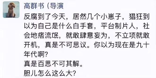 張晚意新劇內鬥!導演高群書被踢出局,編劇大肆吐槽,評論區失控