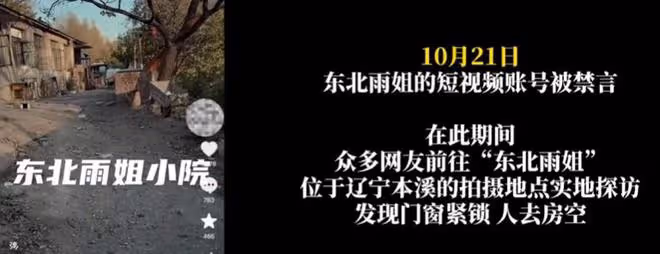 東北雨姐小院雜草叢生,院內小狗瘦成皮包骨,大鐵門上爬滿南瓜藤