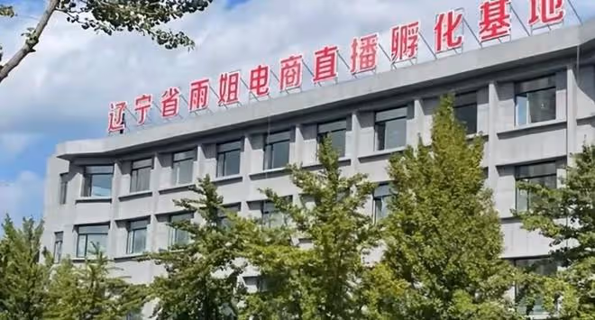 東北雨姐小院雜草叢生,院內小狗瘦成皮包骨,大鐵門上爬滿南瓜藤