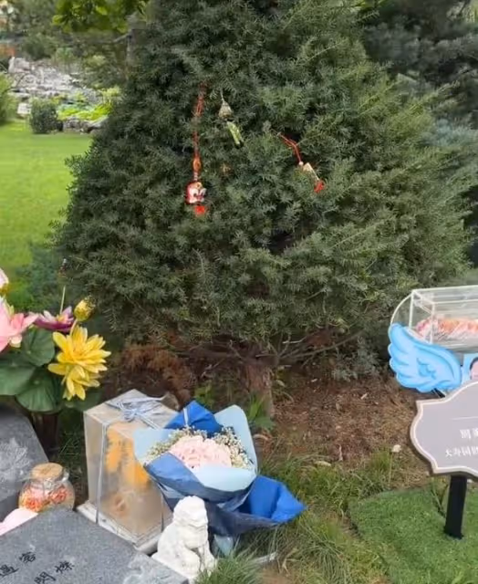 周海媚墓地雲紀念館成立,墓碑前有可愛小熊,鮮花不斷環境優雅