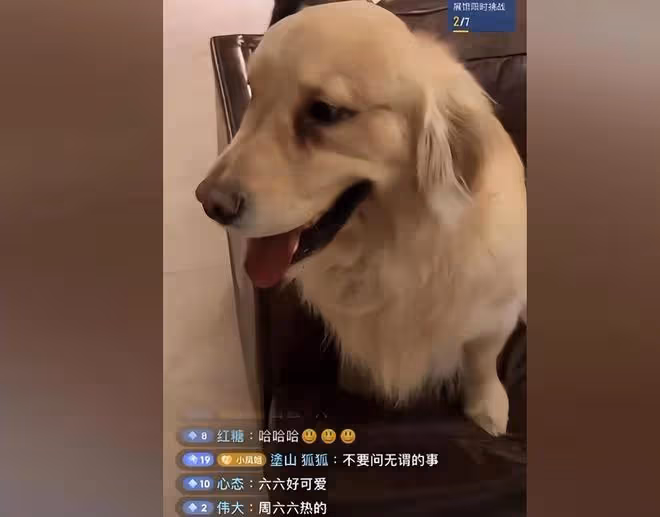 周海媚墓地雲紀念館成立,墓碑前有可愛小熊,鮮花不斷環境優雅