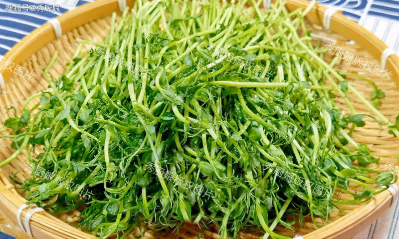 藏在身邊的「護眼菜」,越吃眼睛越亮,養肝護眼潤脾胃,老少皆宜