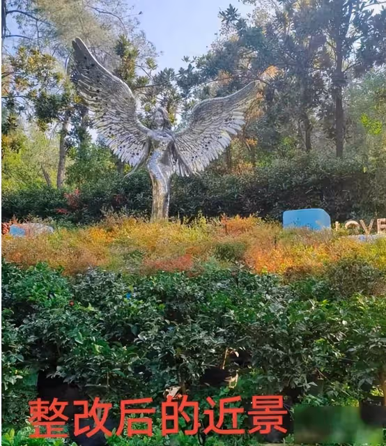 李玟墓地雜草叢生鮮花被堆放一旁!全球性感天后粉絲怒了