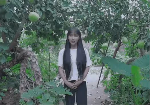 停更1200多天後,俗人李子柒歸來,依舊王者
