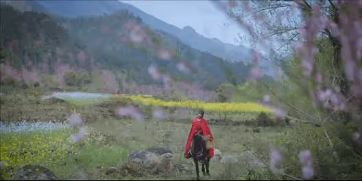 停更1200多天後,俗人李子柒歸來,依舊王者