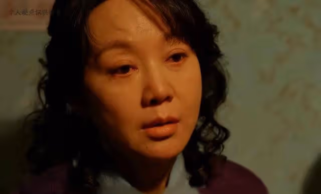 鵬飛才是劇中天花板,在莊家老登又來搞事情的時候,霸氣保護舅媽