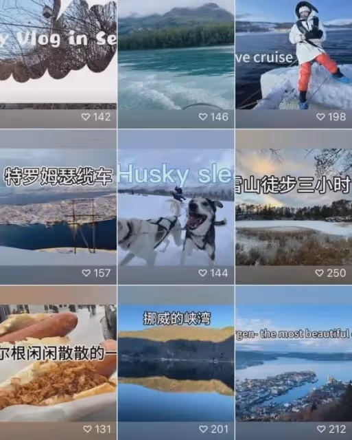 稅後年薪180萬的海歸大女主沙白,選擇「向死而生」,爭議不斷?