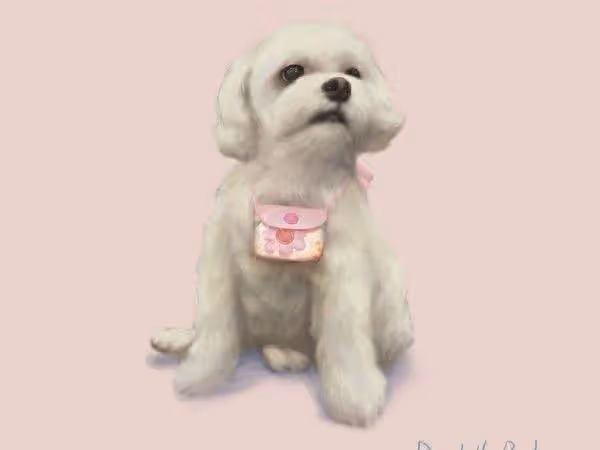 崔佩儀愛犬離世 兒子貝克宇寫曲紀念太催淚