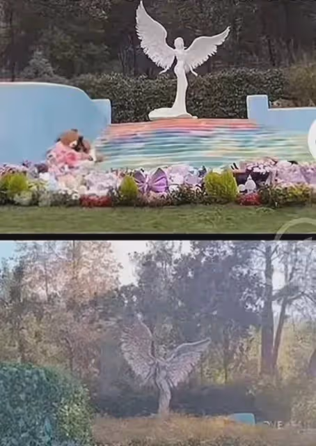 李玟墓地被曝雜草叢生,鮮花擺放凌亂不堪!墓園回應讓粉絲沉默!